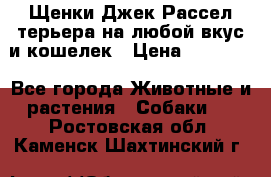 Щенки Джек Рассел терьера на любой вкус и кошелек › Цена ­ 13 000 - Все города Животные и растения » Собаки   . Ростовская обл.,Каменск-Шахтинский г.